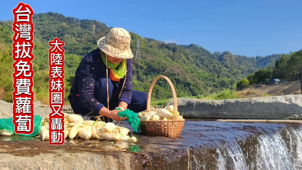 #BekindBeCool  台湾免费拔萝卜❗大陆表妹说这就是我想要的日子