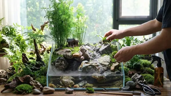 DIY Chinese Mountain Paludarium | Step-by-Step Aquascaping Tutorial | Aura Botanica