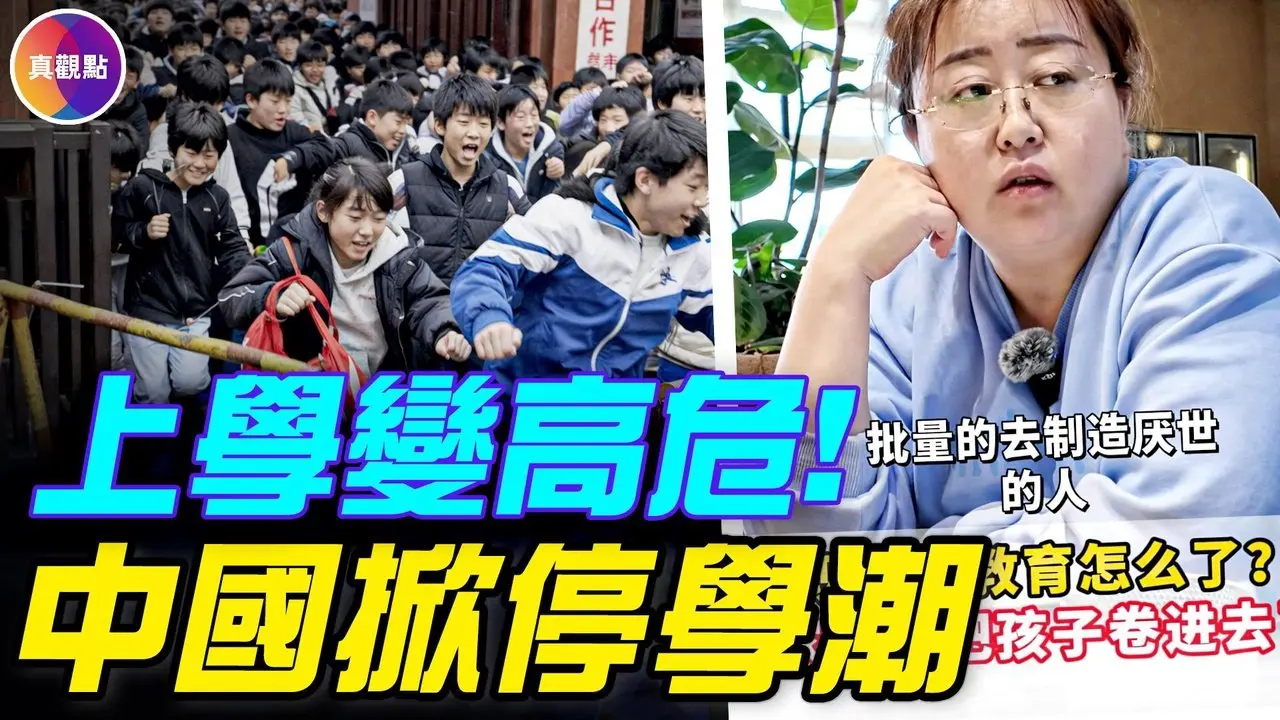 家长：学校正在批量生产精神病！校园成高危险地带，家长掀「停学保命」潮！中国教育如何在毁掉一个世代？#真飞 #真观点