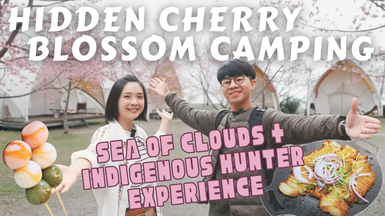 Hsinchu Cherry Blossom Camping｜A Hidden Sakura Paradise Above the Sea of Clouds & Atayal Cultural Experience