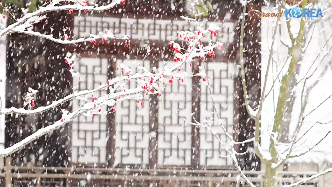 26 0101 백설 (白雪)