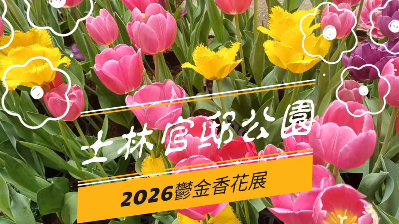🌷2026士林官邸公园花展🌷满园春色花香美不胜收！有空去走走看看蛮不错的喔🥰