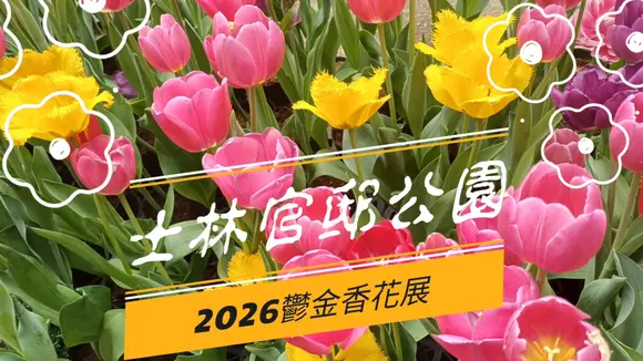 🌷2026士林官邸公園花展🌷滿園春色花香美不勝收！有空去走走看看蠻不錯的喔🥰