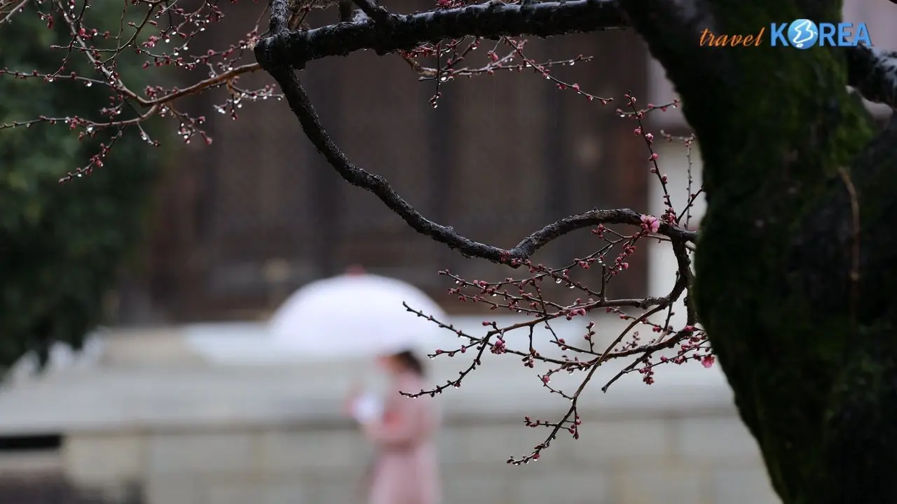 0204입춘대길(立春大吉 )