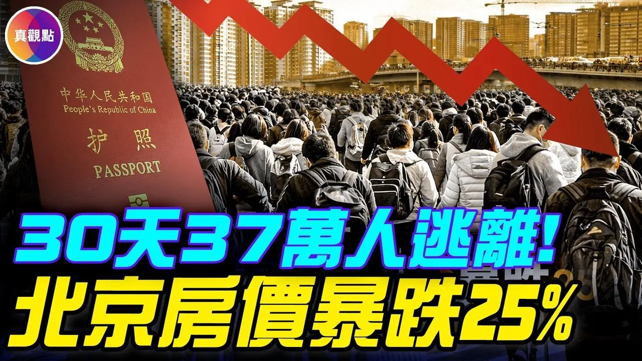 整个国家都在办护照！江浙沪广几十万人大逃离！中国经济七项指标同步恶化！ 2亿人靠打零工生存，中国沦为零工经济国！ 【2026民生实录】#真飞 #真观点