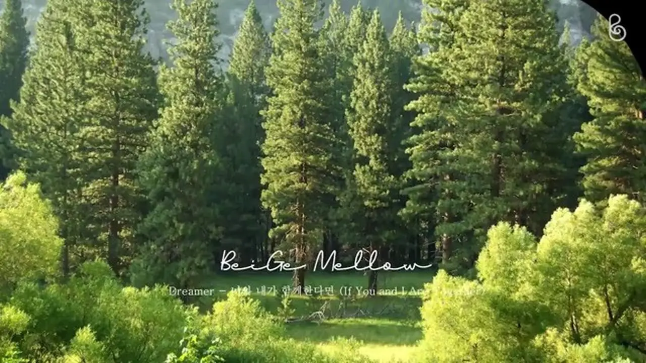 탁 트인 숲에서 맑은 공기 마셔요. 릴렉스 뉴에이지 (+숲 ASMR🌳)